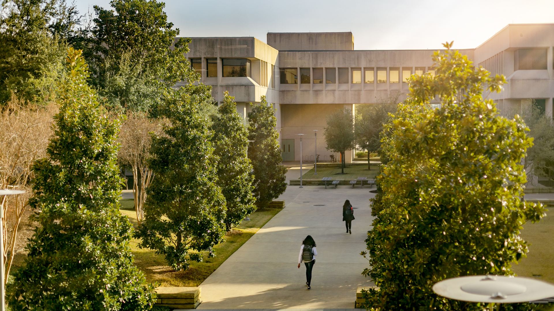 An overhead shot of students walking down the main path to the Administration Building, which is lined with full trees. Golden sunlight brightens the scene.
